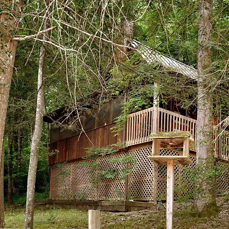 Parkside Party #1676 Gatlinburg Exterior foto