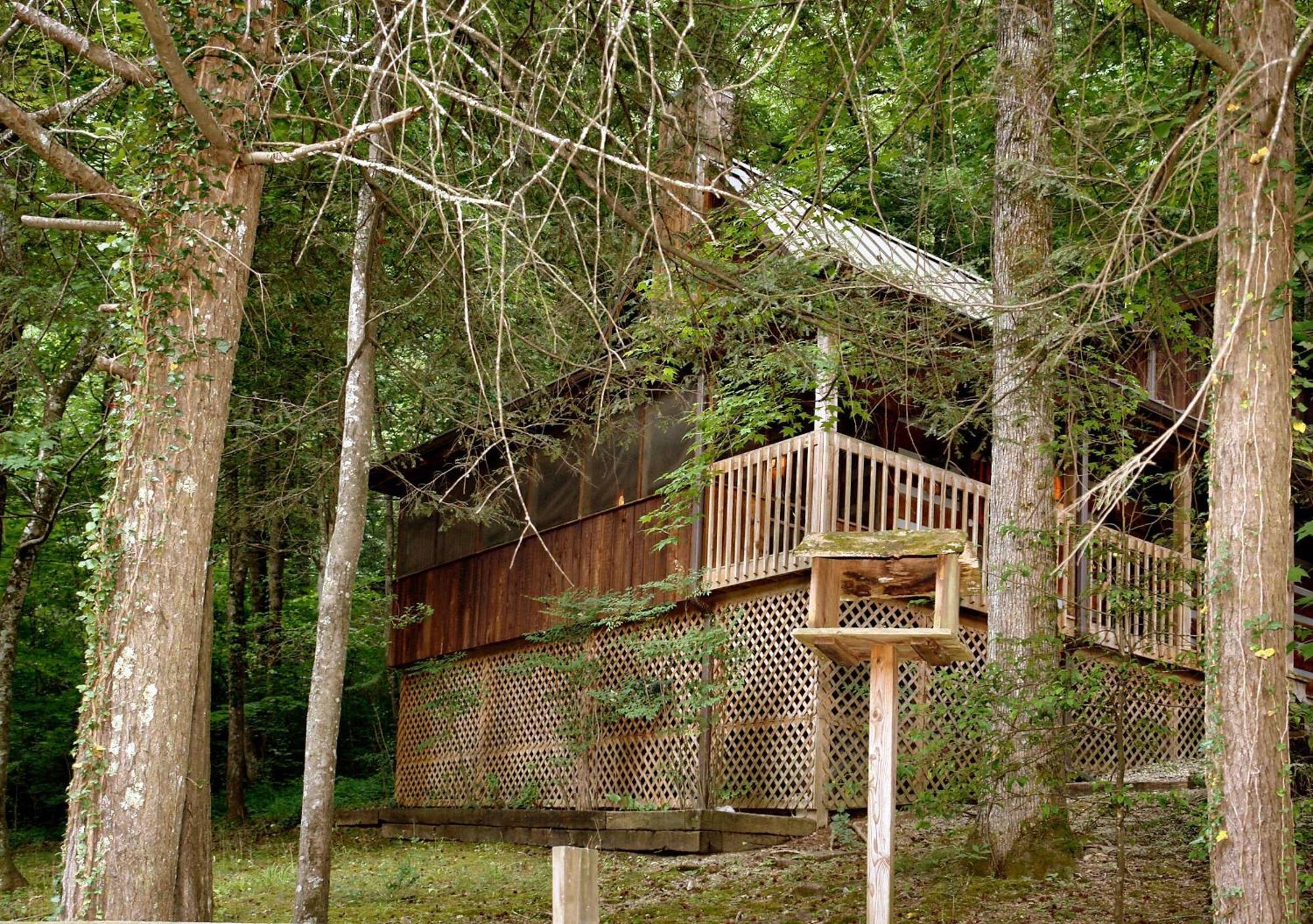 Parkside Party #1676 Gatlinburg Exterior foto